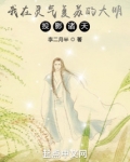 我在灵气复苏的大明投影诸天!