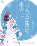 墨少,夫人又去败家了