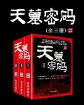 天墓密码(全3册)