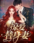 掠爱替身妻