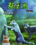 猫武士·暗黑王国