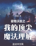 霍格沃茨之我的顶尖魔法理解